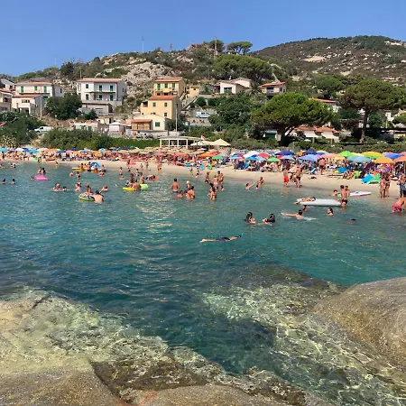 Il Gelso